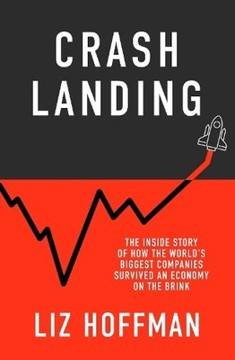Liz Hoffman Crash Landing (Gebundene Ausgabe)