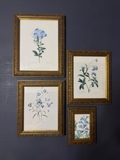 Vintage Floral Gallery Wall Set: Gold Framed Botanical Prints
