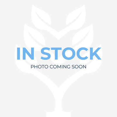 MICROSOFT LAPTOP SURFACE 3 i7 10th GEN 16 GB 512 GB SSD