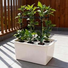 Hydroponic System Growing Box Indoor Gardening System for Vegetables