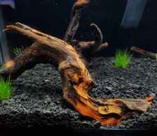 5 Pcs Driftwood Branches Aquarium Decoration Natural Fish Tank Habitat Lizard