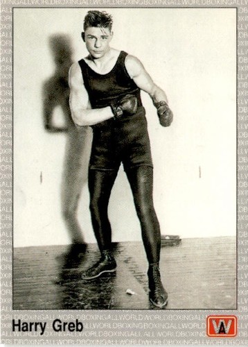 Vintage AW Sports 1991 All World Boxing Premier Edition Single Cards - You Pick - Picture 130 of 225