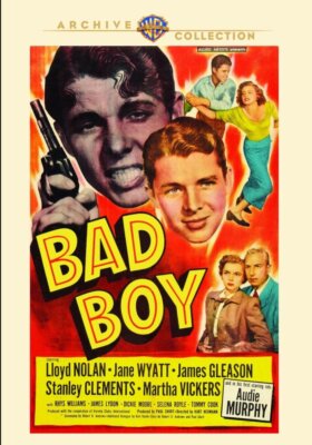BAD BOY's DVD ディスク BAD BOY's DVD ディスク