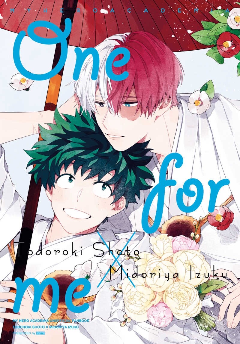 Yaoi My Hero Academia Todoroki Deku Doujinshi Doujin TodoDeku Boku No | eBay