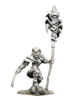Gamezone Miniatures: Chaos - Standardbearer (1)