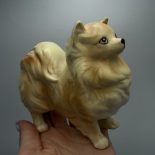 Statuina porcellana vintage Pomerania Spitz POMERANIA Germania Ovest cane anni 60