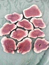 25pcs Manzanita slices Wood Decoration Wedding Diy Exotic Rare Unique Crafts