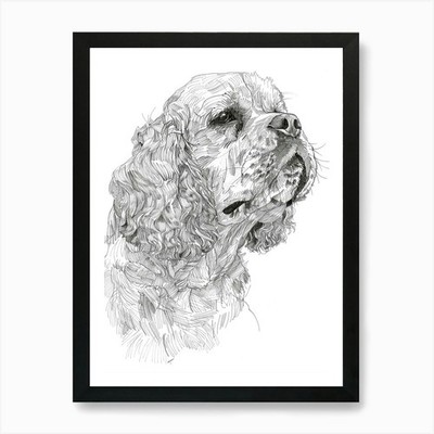 Clumber Spaniel Dog Line Sketch 3 A Framed Wall Art Poster Canvas Print Picture