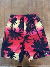 Laguna Swim Trucks Boys Size M 10/12 Swim Trunks Elastic Waist Mesh Lined