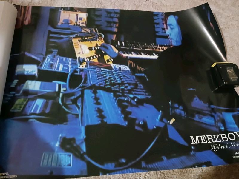 Merzbow Poster Noise bloom