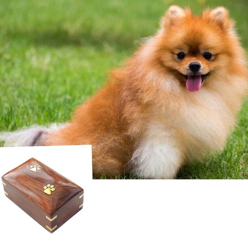 Pet Urn for Ashes Pet Ashes Box with Cute Claws Print Ashes Box Funeral Urn - 第 6/8 張圖片