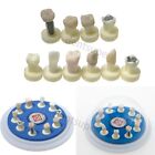 <!--F#f_0-->10*1 Crown Restoration Model Dental With Different Restoration On Crown M6011<!--F/-->