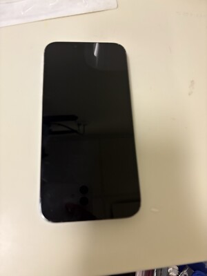 iPhone 13pro Max (Tik Tok Installed )