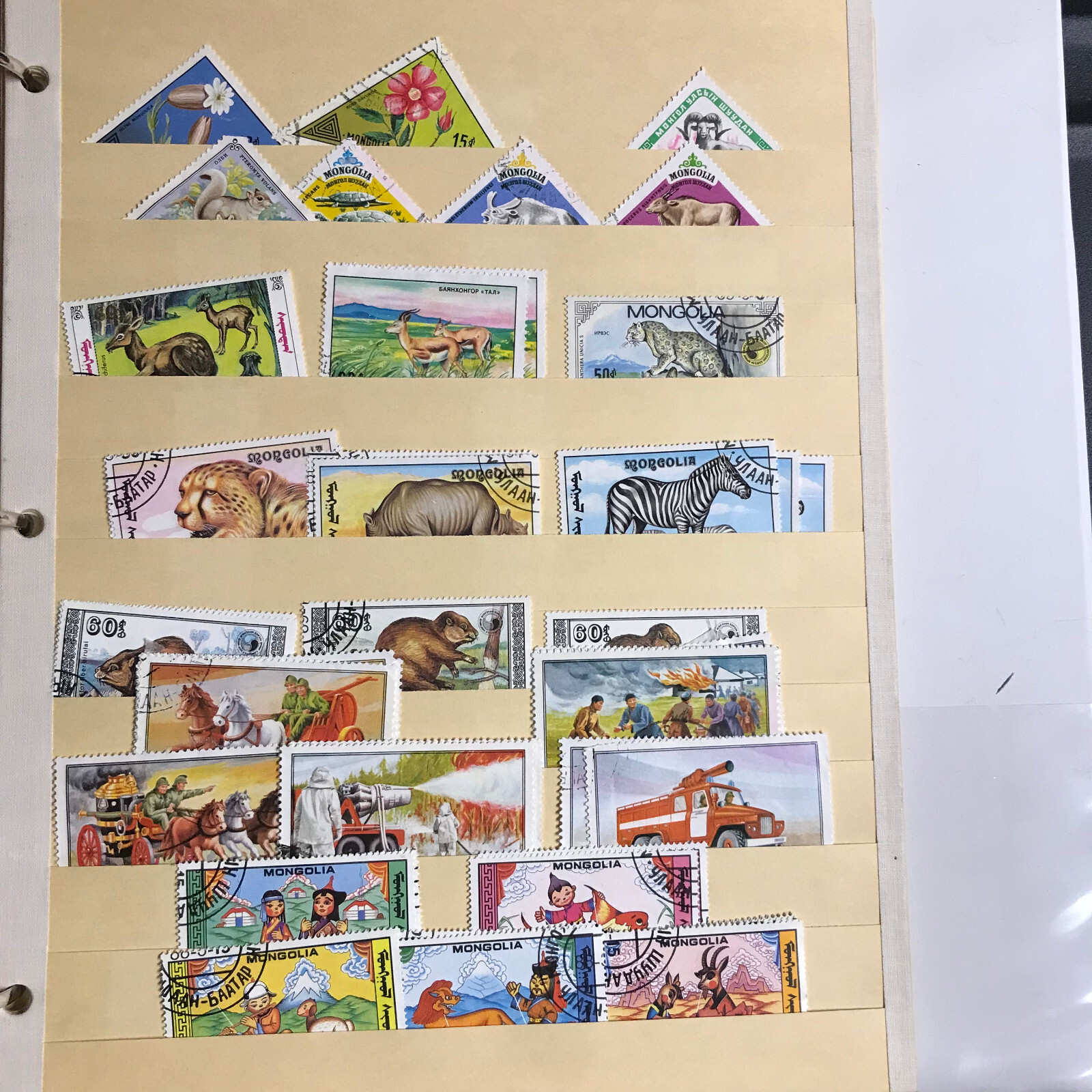 Picture 9 of 19