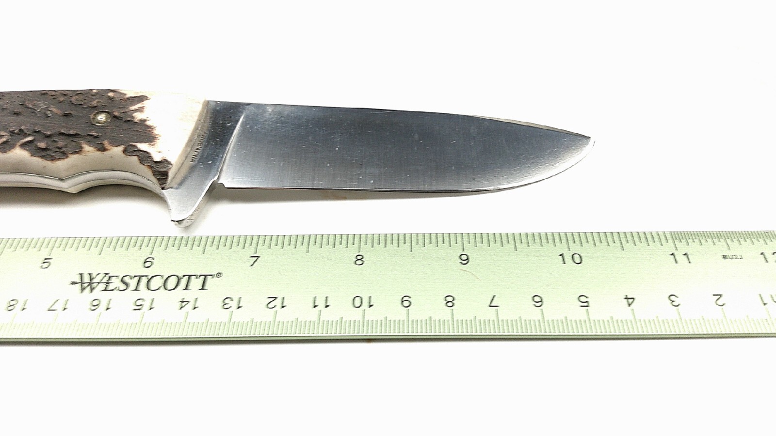 Boker Arbolito Fixed Blade Hunting Knife w/ Sheath, Stag Handle , New