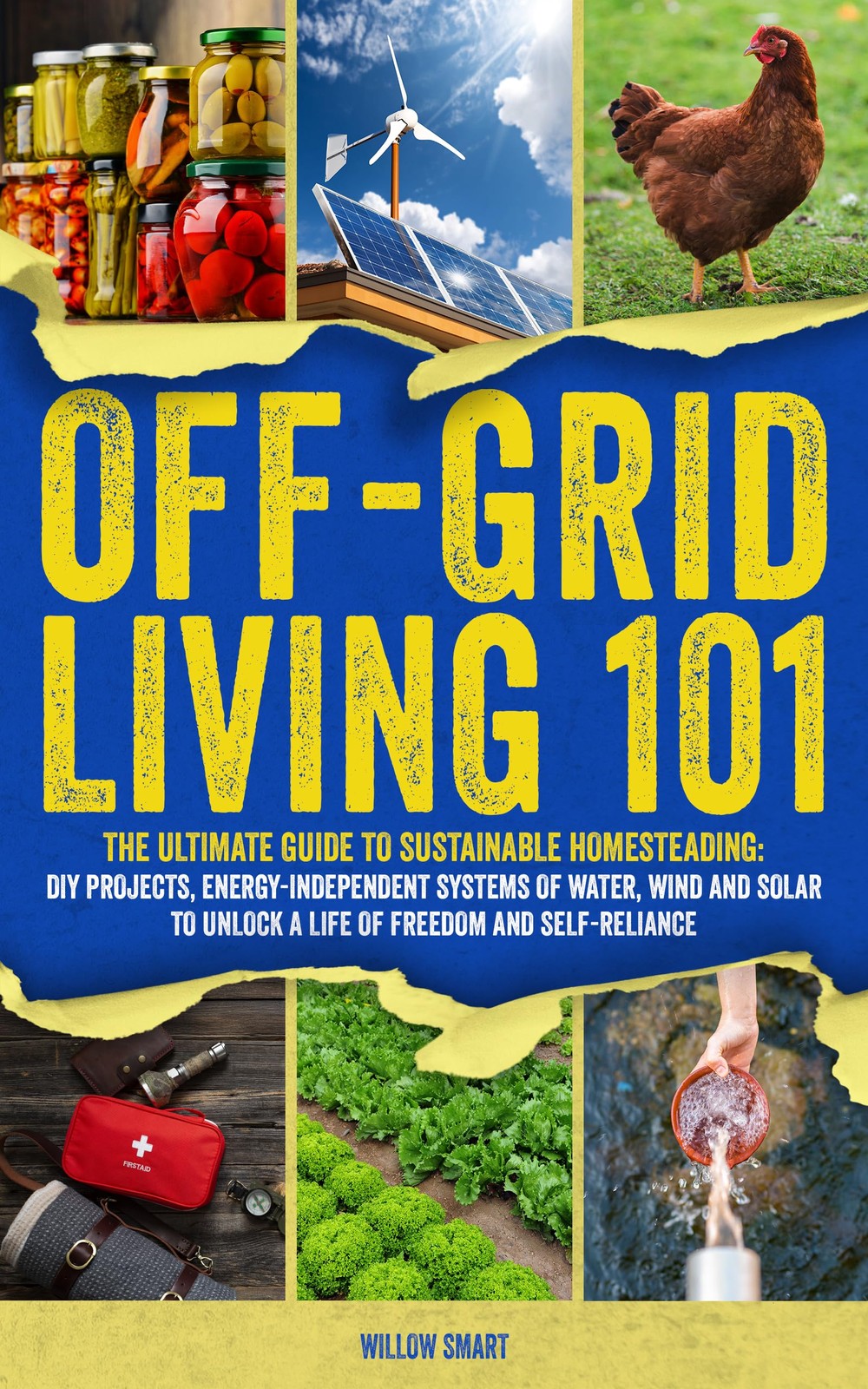 Willow Smart Off-Grid Living 101 (Tascabile)