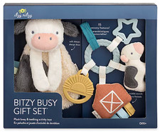 Itzy Ritzy Teething Toy Gift Set