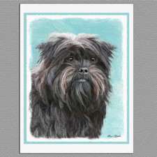 6 Affenpincher Dog Blank Art Note Greeting Cards