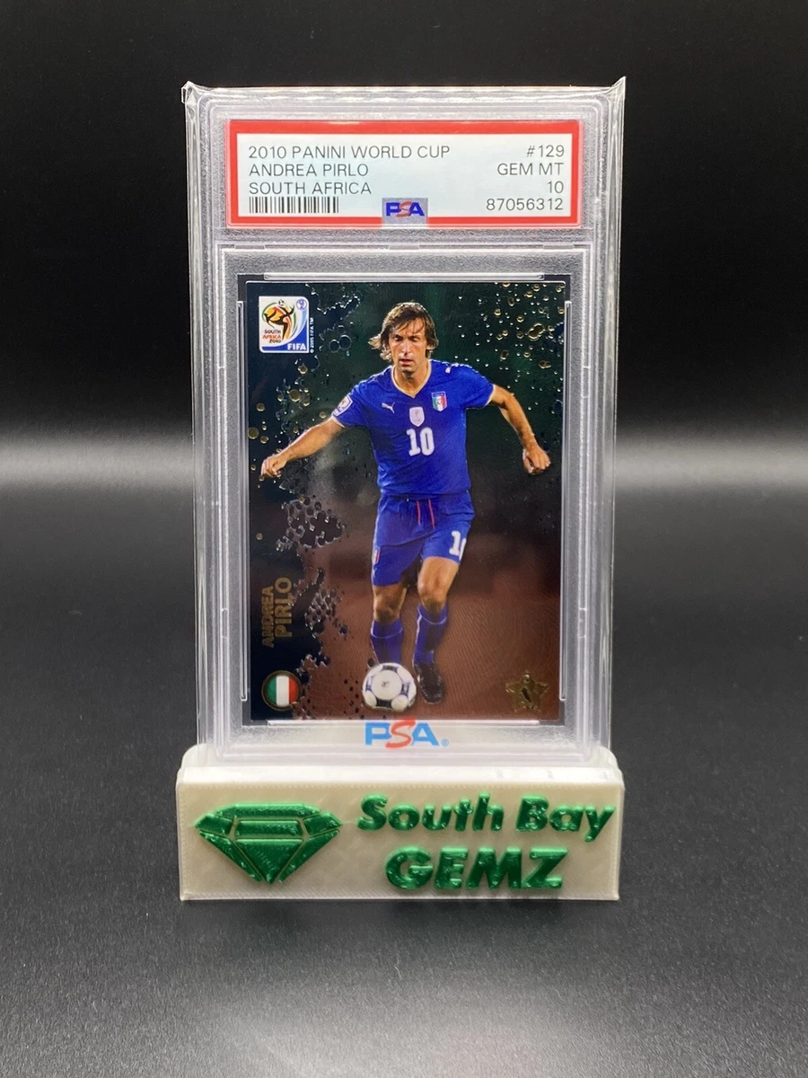 2010 FIFA WORLD CUP PANINI カード　セット 2010 Panini FIFA South Africa World Cup Soccer Cards Team Set