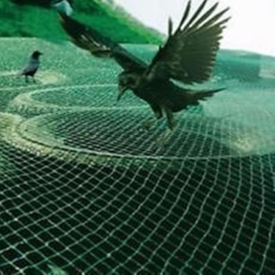 Vogel Netz Vogelschutznetz Gartennetz Obstbaumnetz Kirschbaumnetz Vogelnetz NEU