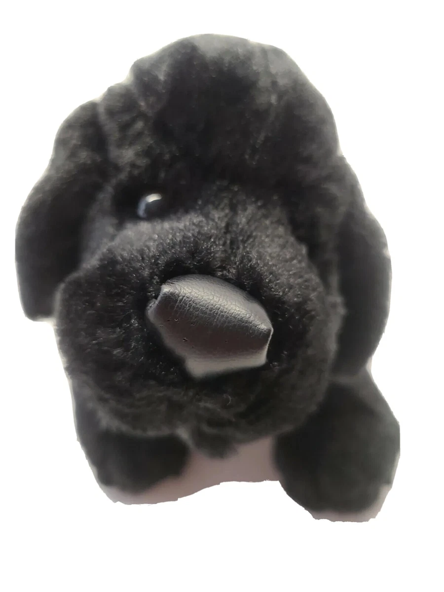 Webkinz best sale black lab