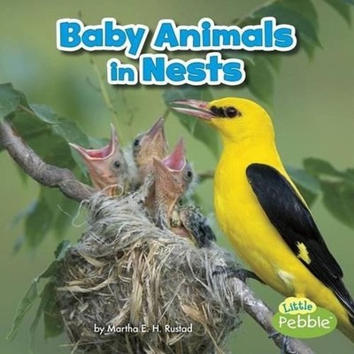 Baby Animals in Nests by Martha E.H. Rustad (English) Hardcover Book
