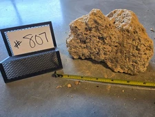 6.5" Medium Pumice Stone Floating Natural Rock Carnivorous Succulent Garden #807