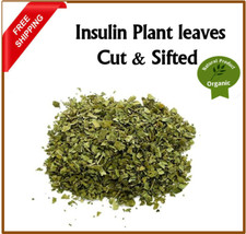 Insulin Plant Leaves Cut  Sifted Organic Diabetic Ayurveda Herbal Tea New