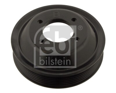 Febi Bilstein 30125 Pulley, Water Pump for BMW BMW (Brilliance)