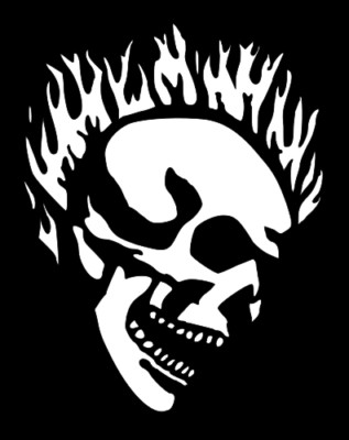 SKULL Stencil Template Walls Signs T-Shirts Tattoo Sz 11.5'' x 9''