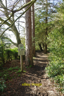Photo 6x4 Denbies Hillside Named after a 17th century local farmer John D c2018