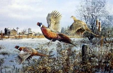 Scott Zoellick "The Wild Ones " Pheasant Hunting Art Print  12" x 8"