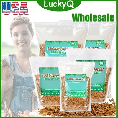 LUCKYQ 5-44LBS Dried Black Soldier Fly Larva High Calcium for Chickens Birds Treats LOT
