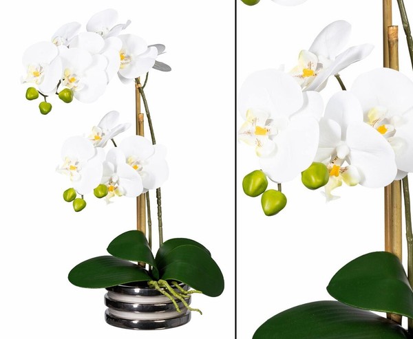 Orchideen Kunstblume Mit 2 Creme Weiß Farbigen BlüTen Von Ibizanos-image
