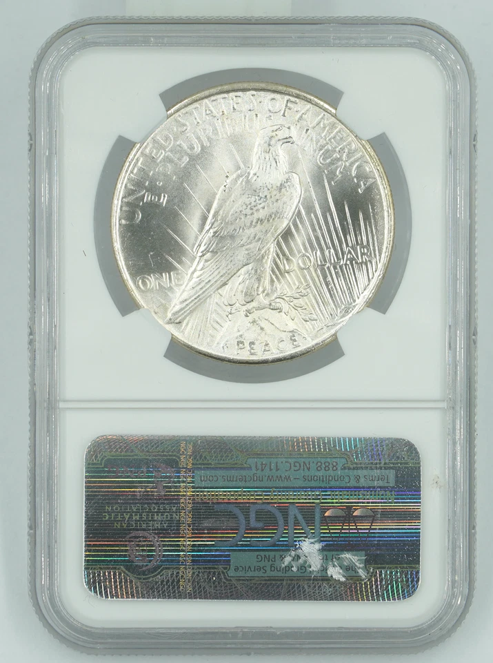 1925 NGC & CAC MS66 Peace Dollar Blast White PQ+ - Image 2 of 3