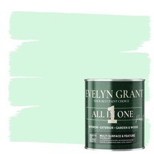 Evelyn Grant All-IN-ONE Paint & Primer Multi-Surface Paint Interior And Exterior