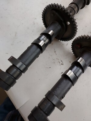 たくニャン 気まぐれで言うことを聞かない性格がやみつきに！世界中で大人気商品が