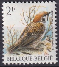 Belgium 1989 Fauna, Birds, Buzin MNH**