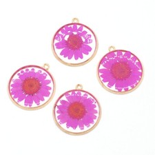 Clearance 8PCS Gold Tone Dried Daisy Flower Resin Round Charm GBY1014 Pink