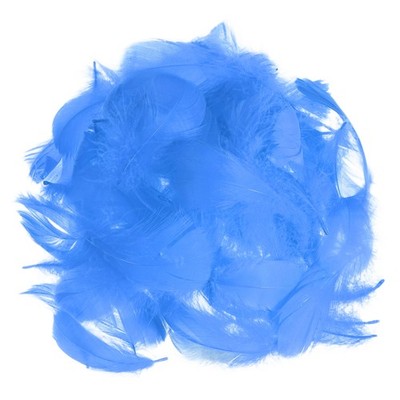 120 Pcs Blue Craft Goose Feathers Bulk 2.4-4.7 Inch for Crafting