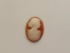 Vintage Natural Shell Cameo 18x13mm -Slight Chipping At Edge- Carved Shell
