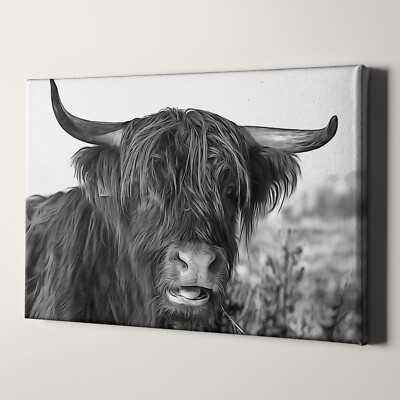 Highland Cow Scottish Cattle and Yaks Farm Animals Canvas Wall Art Print