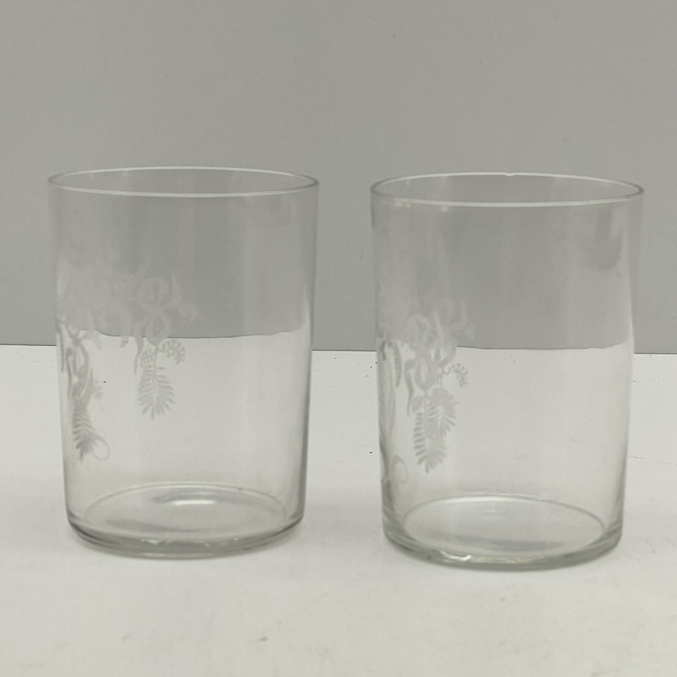 Set of 2 Vintage Victorian Glass Crystal Tumbler Floral Acid Etched