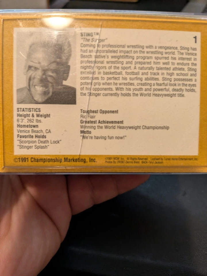 Juego completo de lucha libre Championship Marketing WCW 1991 1-110 Foto 3 de 4