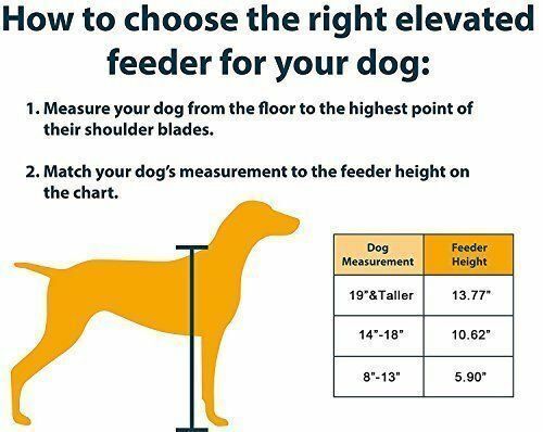 Stainless Steel Elevated Dog Bowls Pet Feeder Station With Two Raised Dog Bowls - Picture 6 of 15