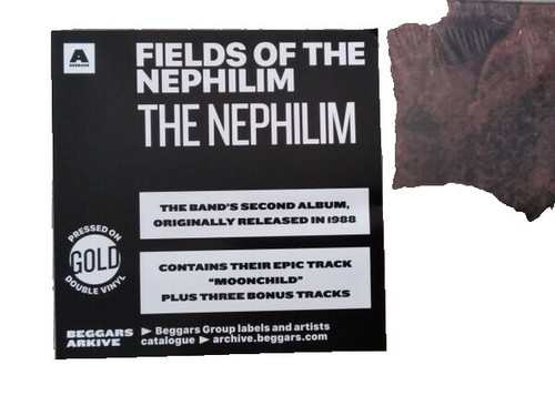 Killin' Field - Criminal Street Slang: The Album (Vinyl LP) [PRE