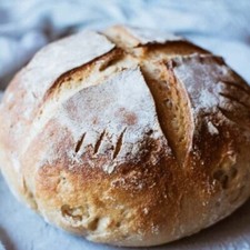 SAN FRANCISCO SOURDOUGH STARTER DEHYDRATED ORGANIC - 15 Gram Bag