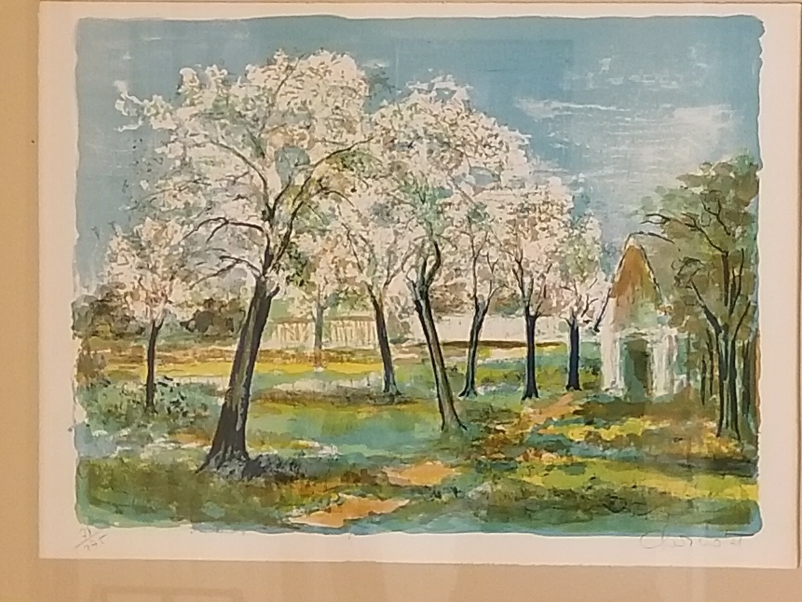 Picture 3 of 12