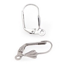 20Pcs 316 Stainless Steel French Lever Back Earwire Ear Wire Earring Hook 9X18mm