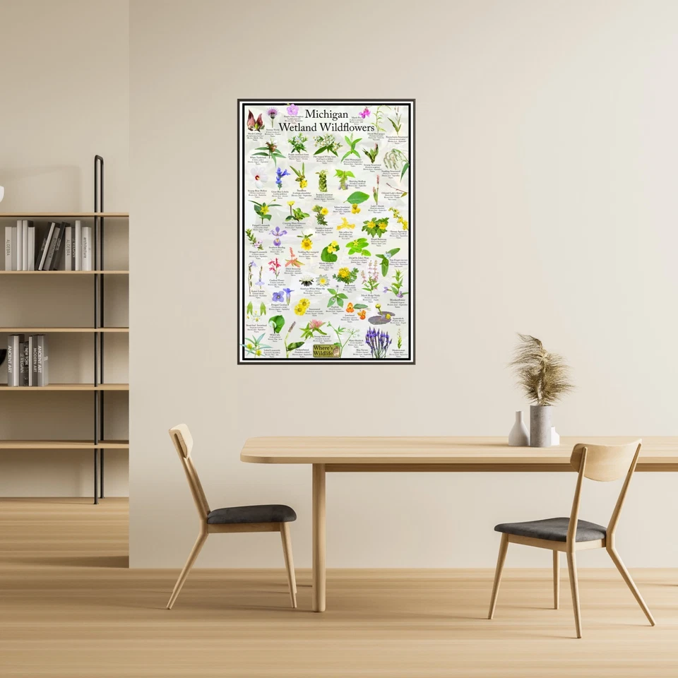 Póster de identificación de flores silvestres de humedales de Michigan/guía de identificación de flores Foto 3 de 4